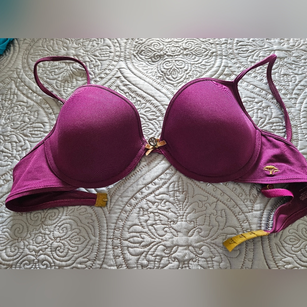 36C bra